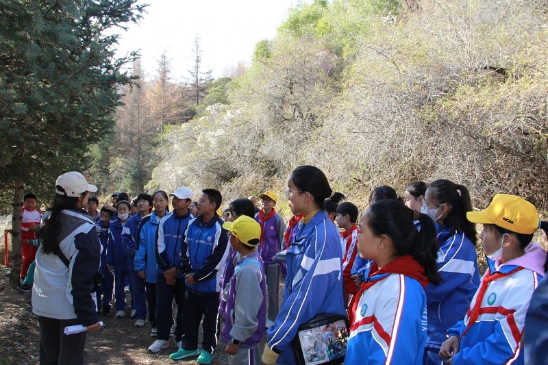 1731028024255308.png image.png