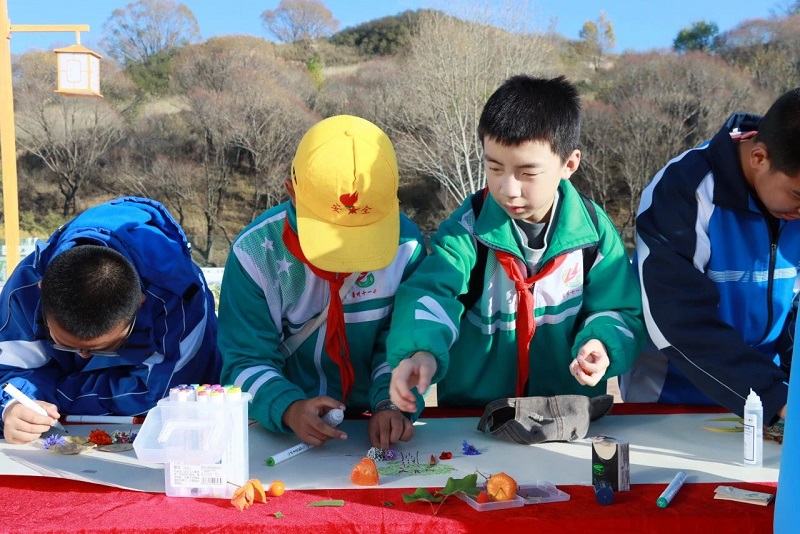 1731028071179085.png image.png