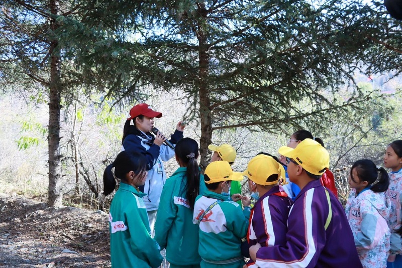 1731028032623627.png image.png