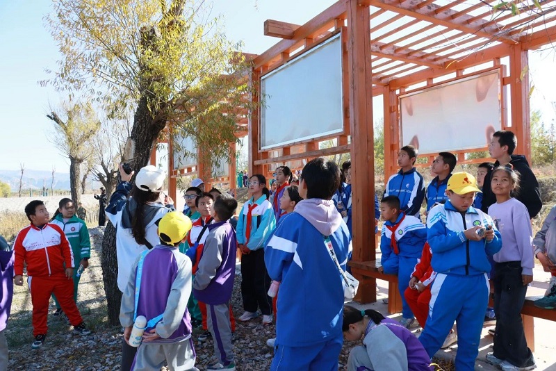 1731028081916732.png image.png