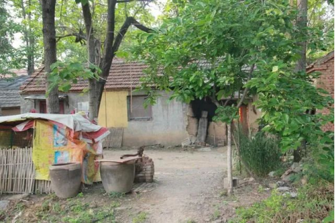 无论多穷,老家永远是我放不下的牵挂