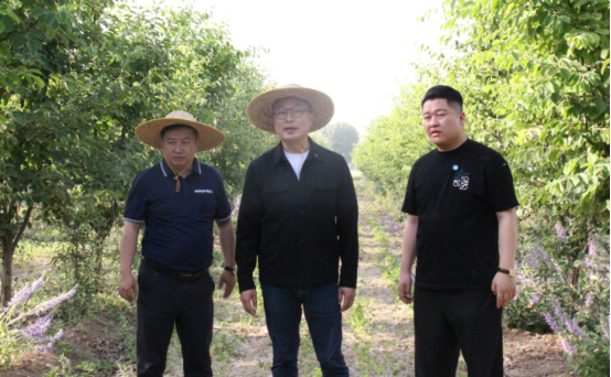 ����鿴ԭʼͼƬ