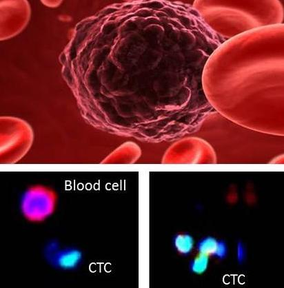 ��ͼƬ�޷���ʾ����ˢ��ҳ��