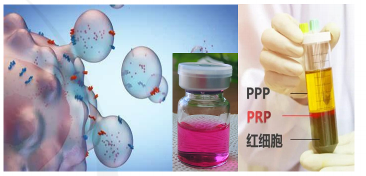 ��ͼƬ�޷���ʾ����ˢ��ҳ��