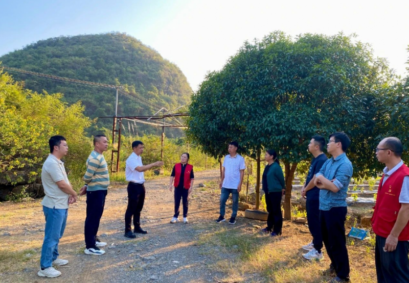 药食同频,病在未病,壮元医药全产业链协同,守护人人壮元梦