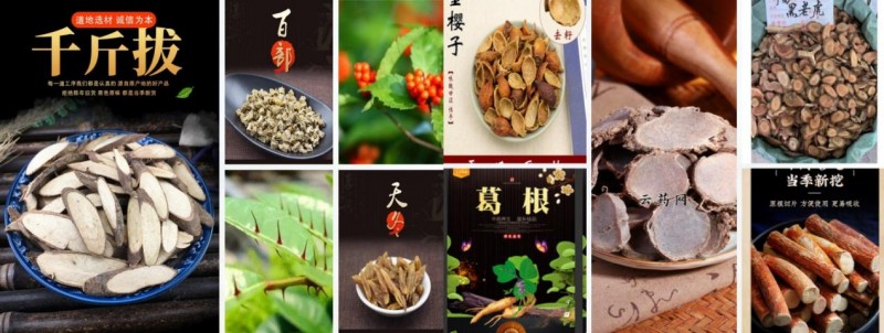 药食同频,病在未病,壮元医药全产业链协同,守护人人壮元梦