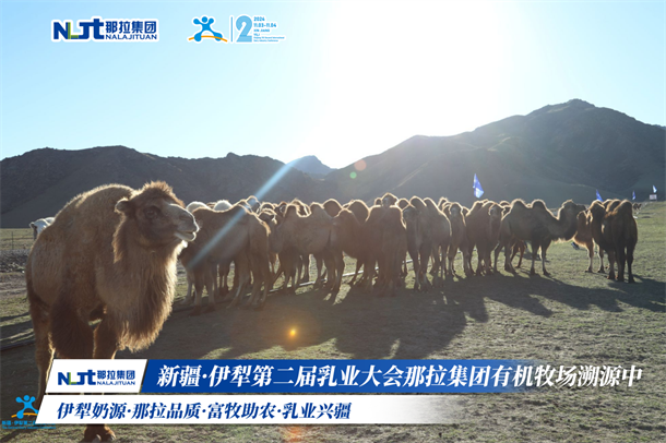 1731571213933754.png 图片8.png