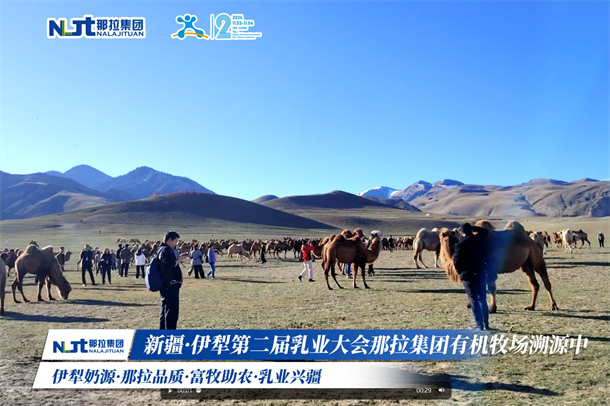 1731571218260143.png 图片9.png