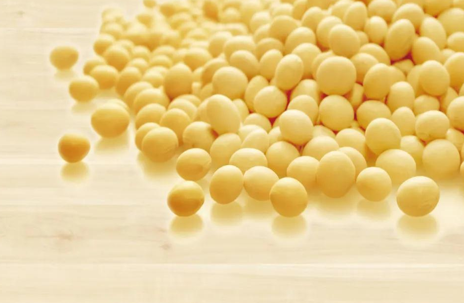 枫丹鹿板材 枫丹鹿板材