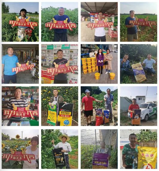 科学施肥,绿色崛起:海沃丰多措并举助力农业可持续发展