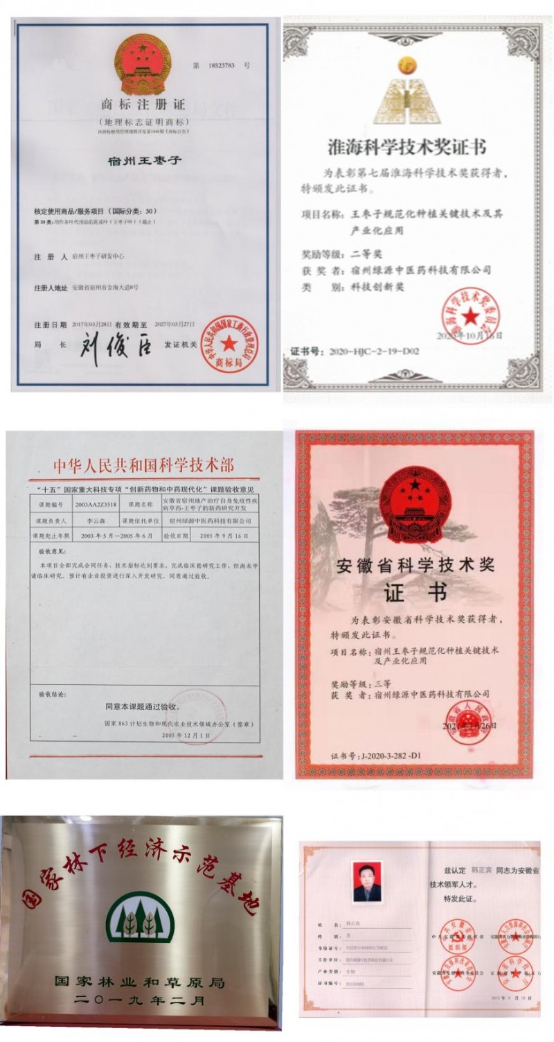 以匠心促创新 宿州绿源多措并举 塑造传统药材宿州王枣子金名片