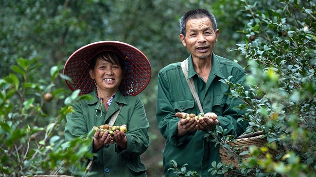 齐云山高油酸山茶油亮相黑珍珠餐厅食材展----开启健康烹饪新潮流