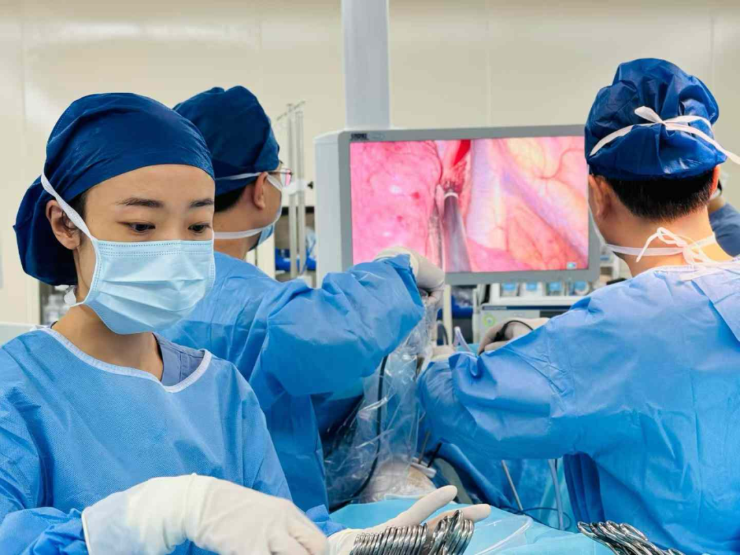 1756203750986849.png 图片6.png