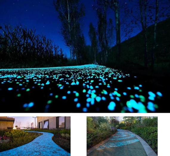 ·�棺�ұ���������ɫ����