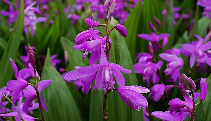 1588142119321316.jpg 3.jpg