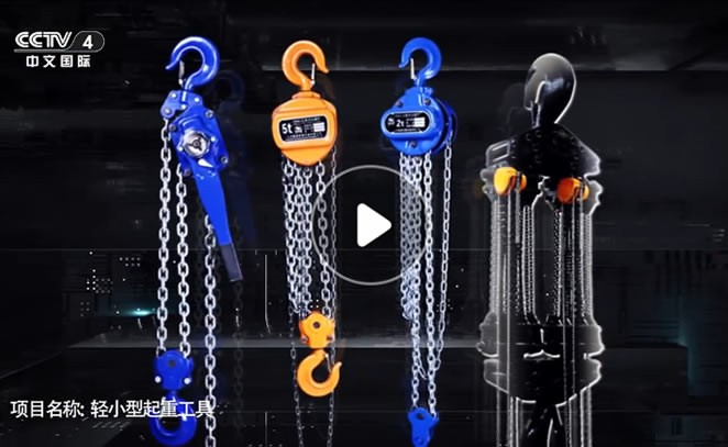 冠航起重葫芦 冠航电动葫芦