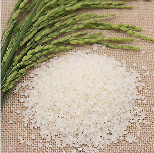 图片包含 绿色, 桌子, 游戏机描述已自动生成