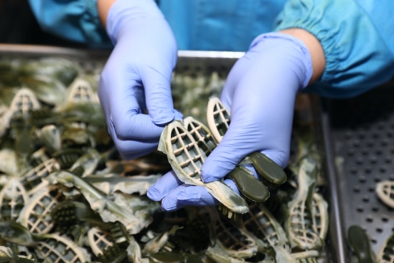 探访iChew爱乐纯国际高标准工厂,揭秘宠物高品质产品背后硬实力